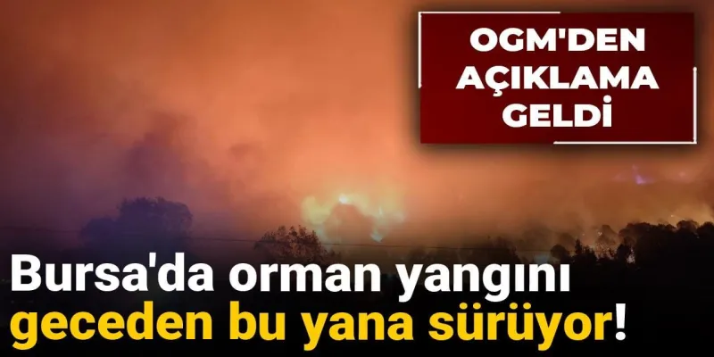 Bursa'da orman yangını geceden bu yana sürüyor! OGM'den açıklama