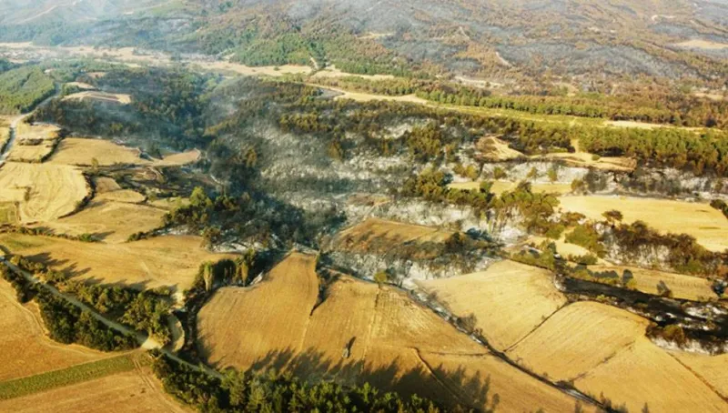 Çanakkale'de Korkutan Yangın! Son Durum Ne? İşte Drone Görüntüleri