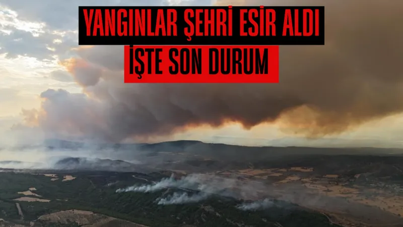 Çanakkale’de orman yangını: Tarihi Alan’ın kuzey hattı geçici süreyle kapatıldı