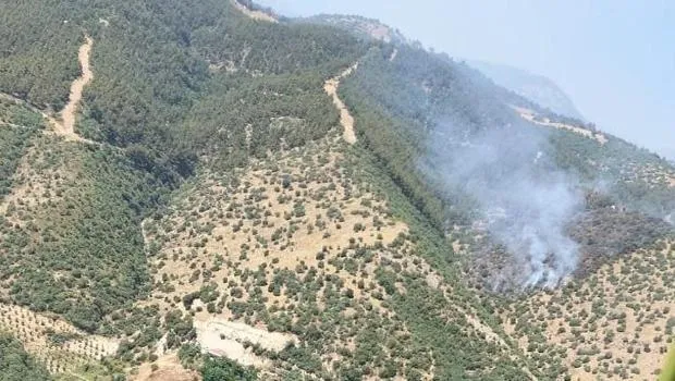 Manisa'da orman yangını: Havadan ve karadan müdahale ediliyor