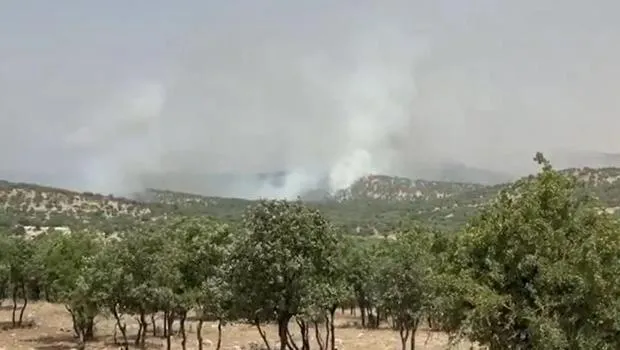 Mardin'de orman yangını: Ekipler müdahale ediyor