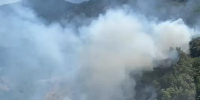 Marmaris'te Korkutan Yangın! Alevler Kontrol Altında mı?