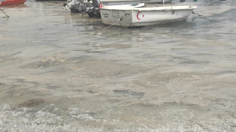 Marmara Alarm Veriyor! Bursa Kıyılarında Müsilaj Kabusu Geri Döndü!