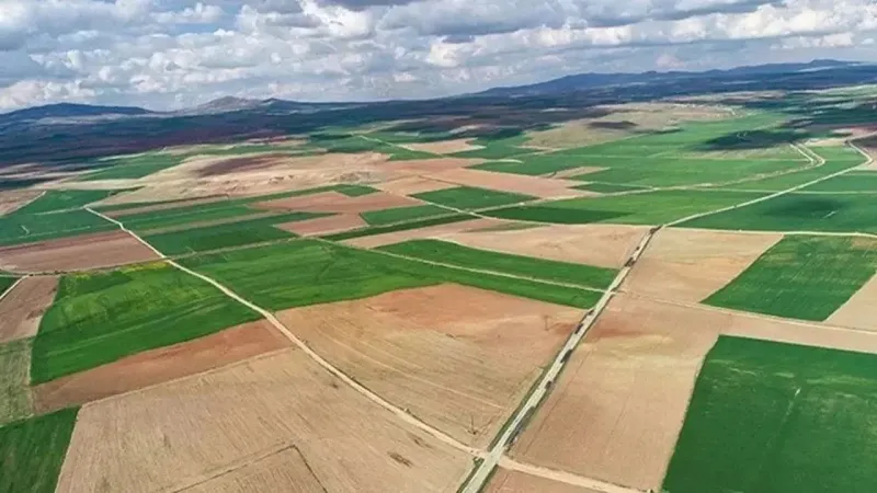 TOKİ Sakarya'da Dev Arsa Satışı! Kaçırılmayacak Fırsat!